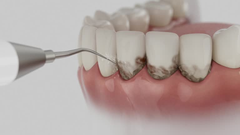 Reliable Dental contractor in Sampson County County, NC by Dentist Open Now